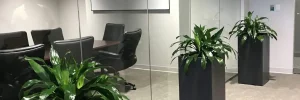 plants for businesses