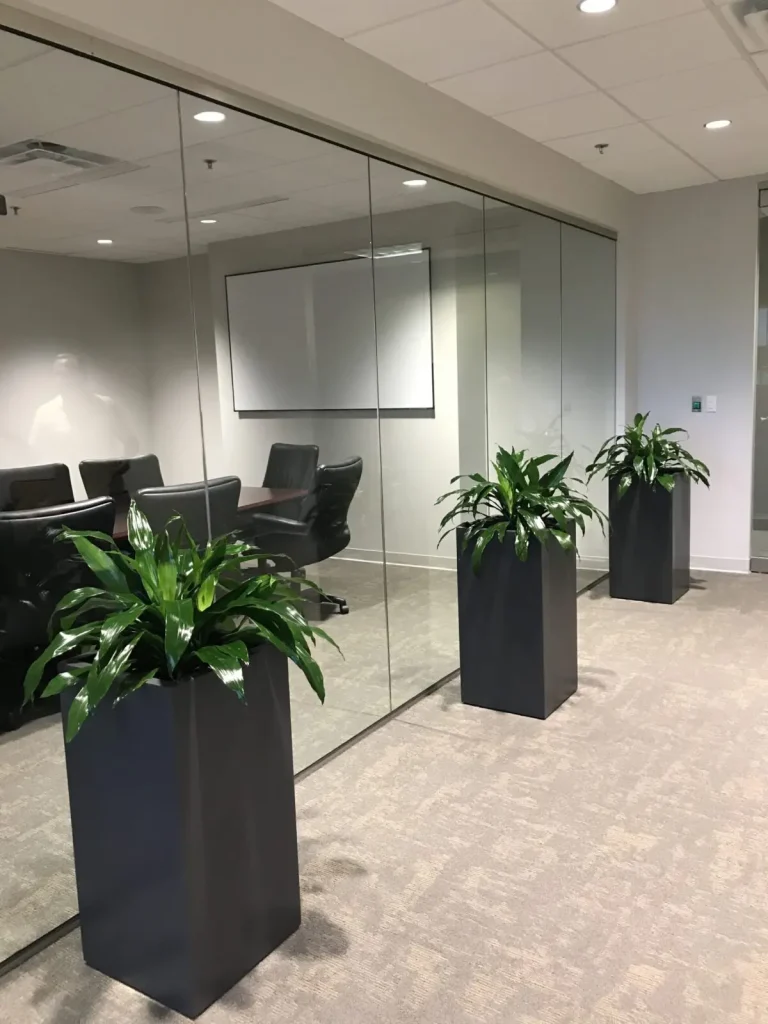 plants for businesses